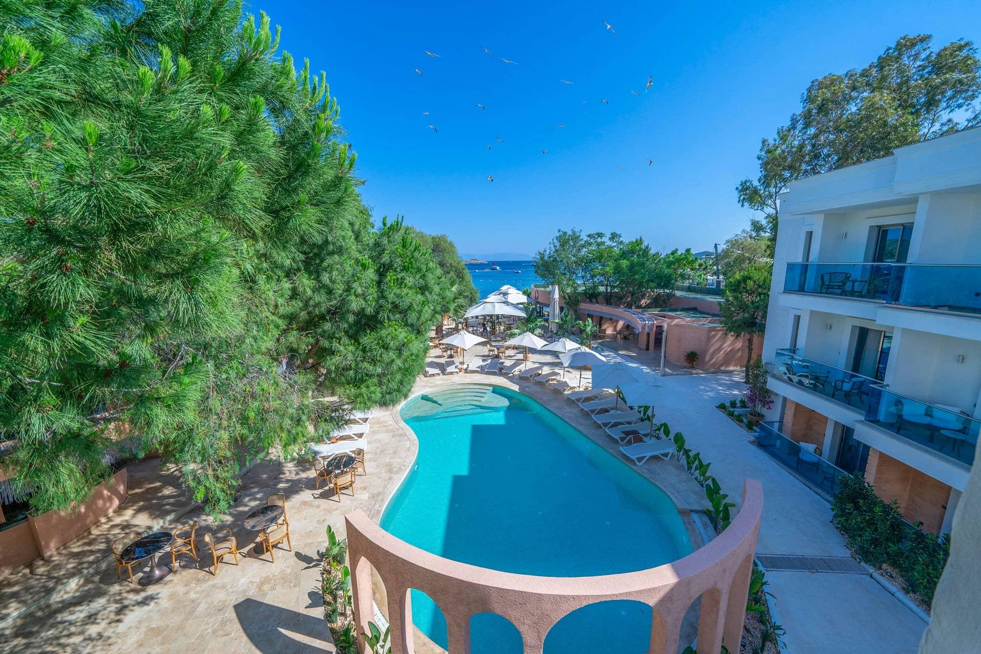 Image of Beach & Pool