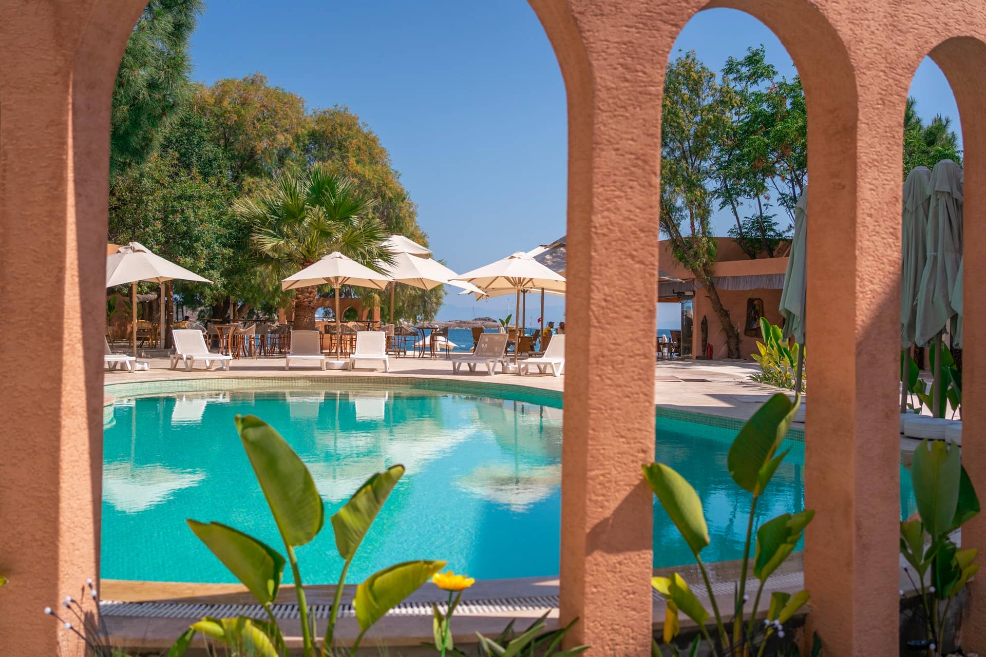 Image of Beach & Pool
